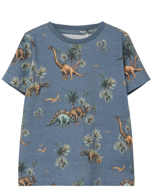 TRICOU FLINSTONE