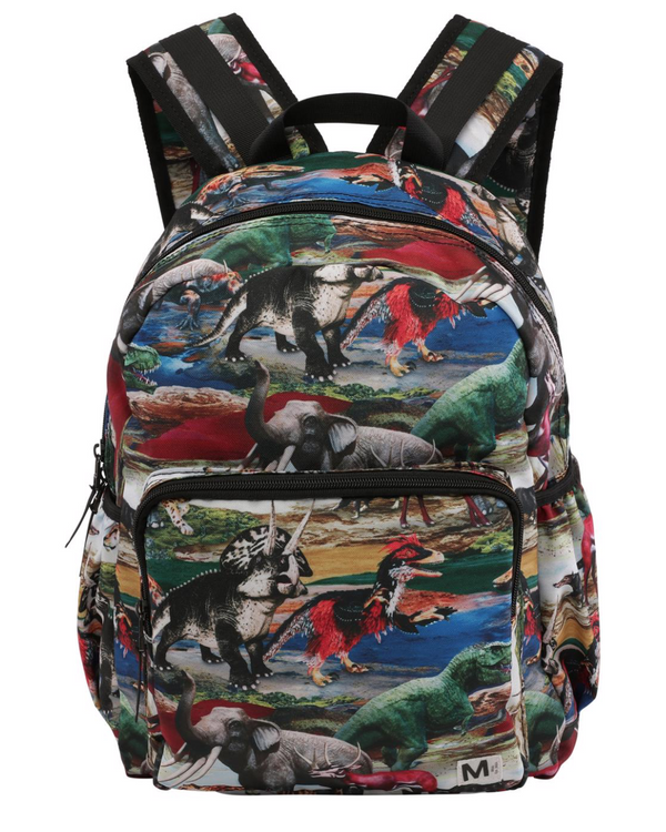 BIG ANCIENT WORLD BACKPACK
