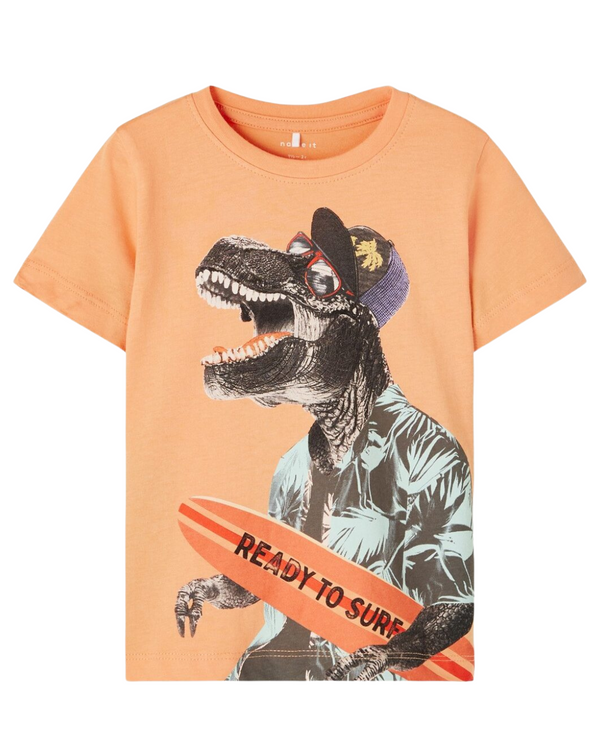 TRICOU SALMON BUFF NAME IT