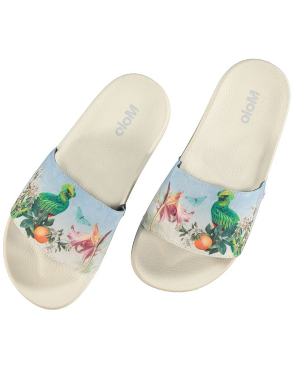 ZAPATILLAS PARADISE BIRDS PARA NIÑOS Y ADULTOS